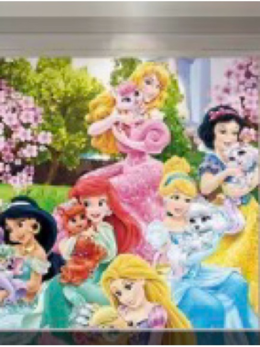 Disney Princesses Wall Art  Tapestry